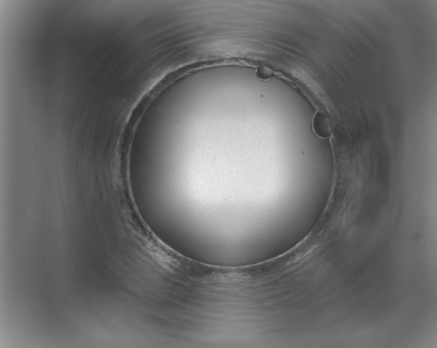 X0000071391023200607071902