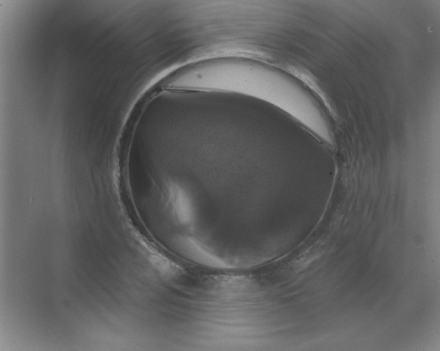 X0000071391024200607071902