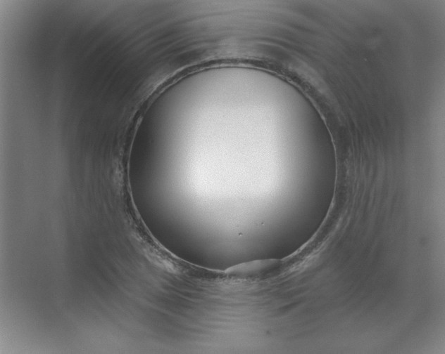 X0000071391025200607071902