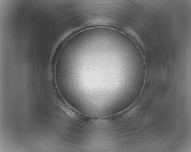 X0000071391027200607071903