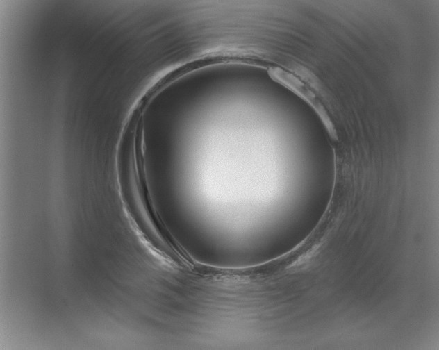 X0000071391030200607071903