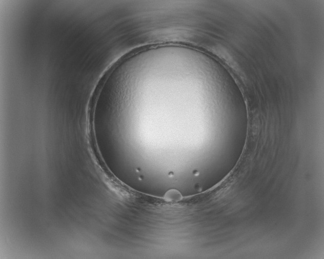 X0000071391031200607071903