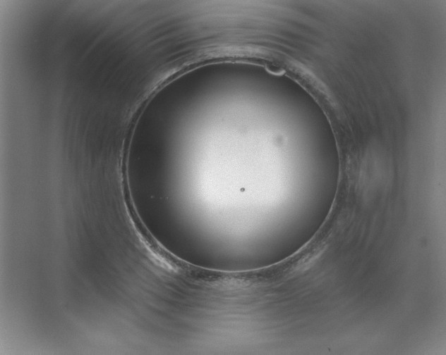 X0000071391033200607071903