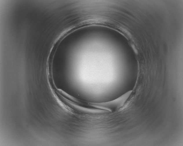 X0000071391034200607071903