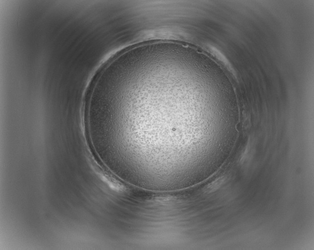 X0000071391035200607071903