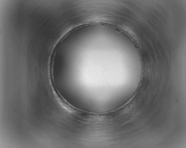 X0000071391039200607071903