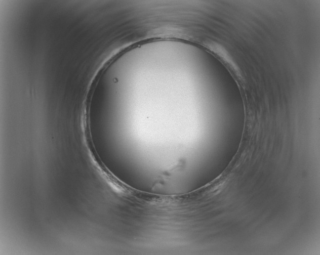 X0000071391040200607071903