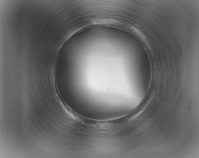 X0000071391041200607071903