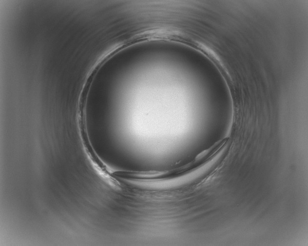 X0000071391042200607071903