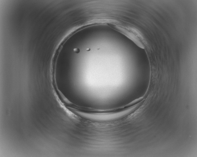 X0000071391046200607071903