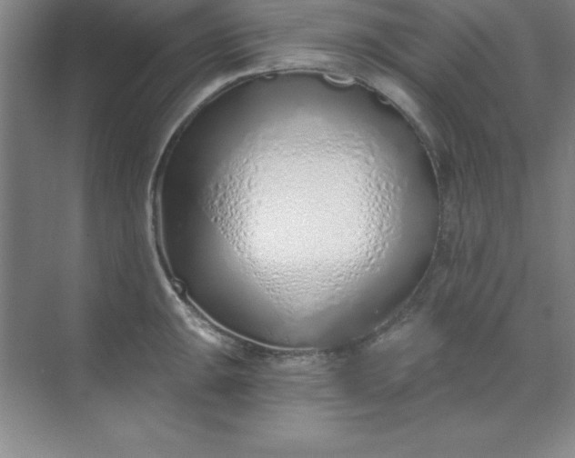 X0000071391047200607071903