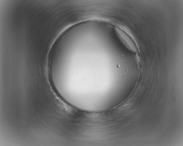 X0000071391048200607071903