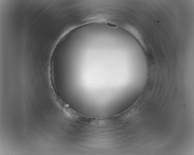 X0000071391051200607071903