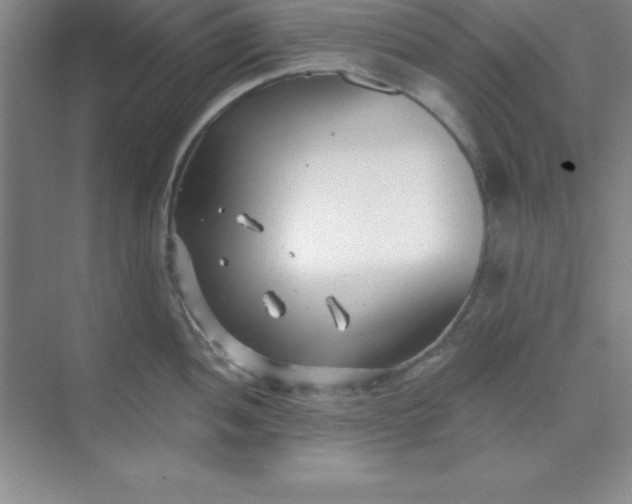 X0000071391052200607071903