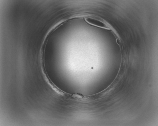 X0000071391053200607071903