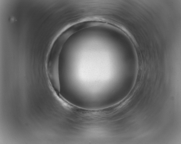 X0000071391054200607071903