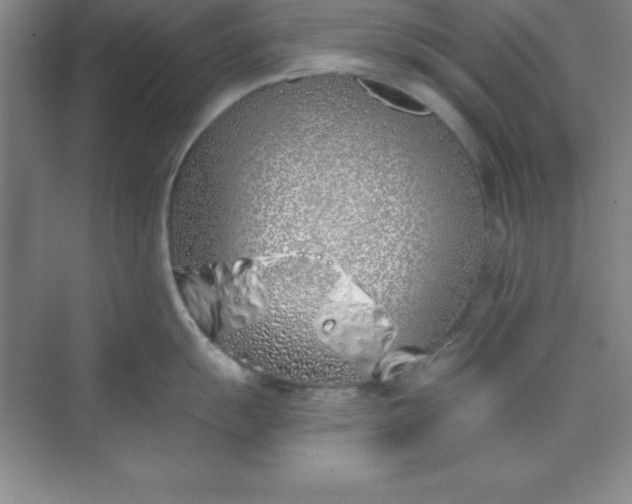 X0000071391055200607071903