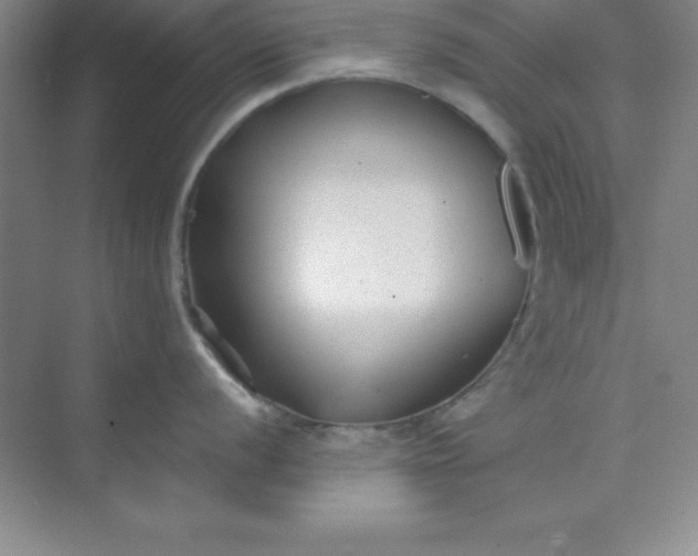 X0000071391056200607071903