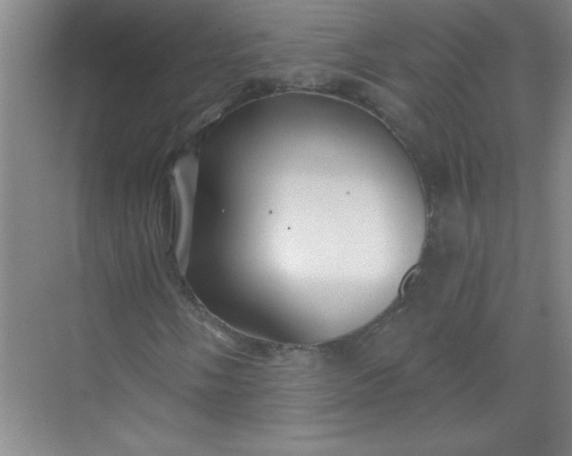 X0000071391058200607071902