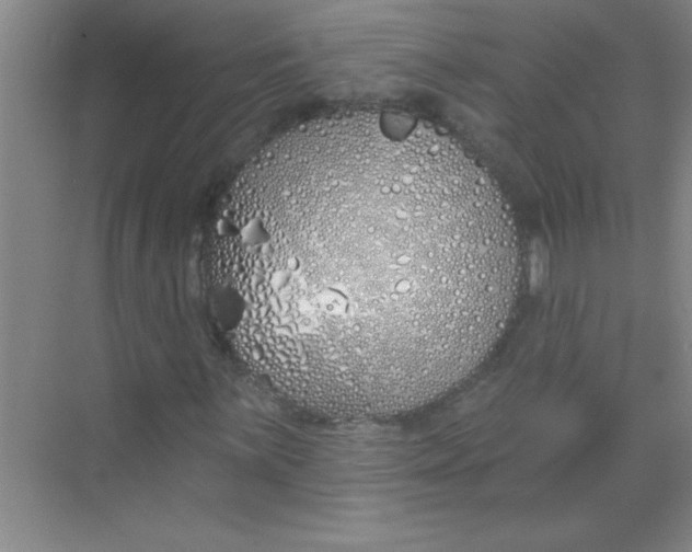 X0000071391059200607071902