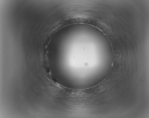 X0000071391061200607071902