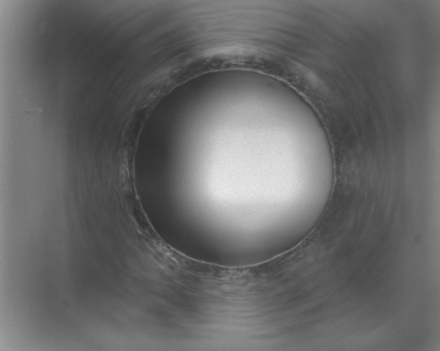 X0000071391062200607071902