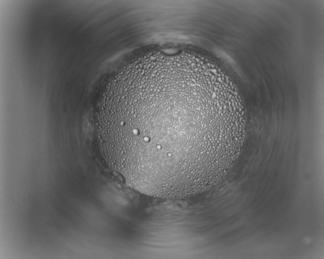 X0000071391063200607071902