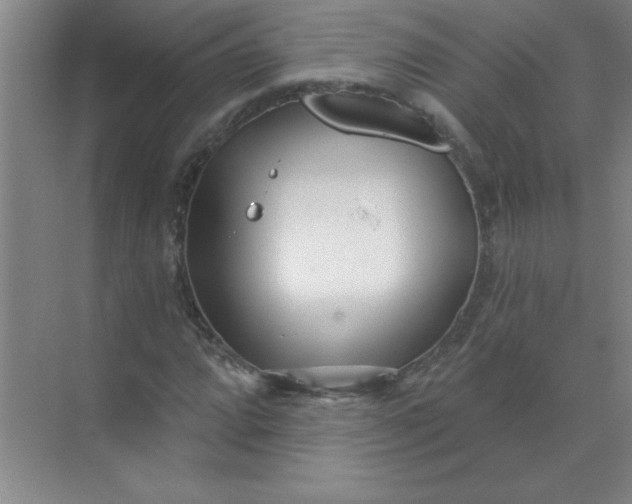 X0000071391064200607071902