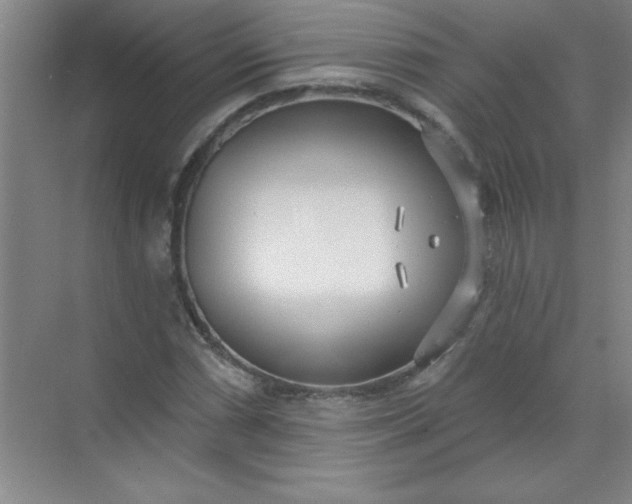 X0000071391066200607071902