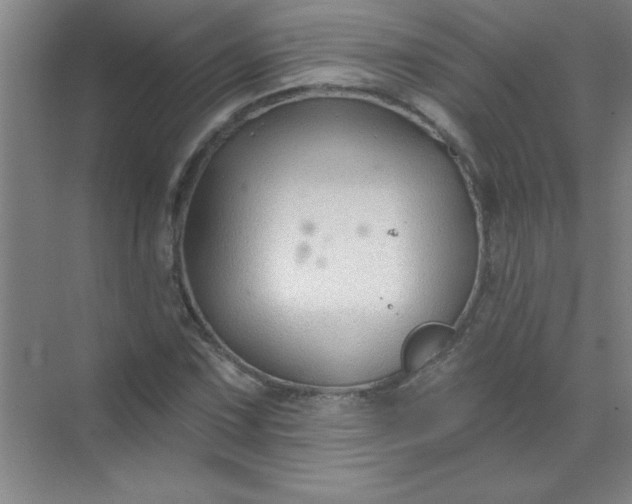 X0000071391067200607071902