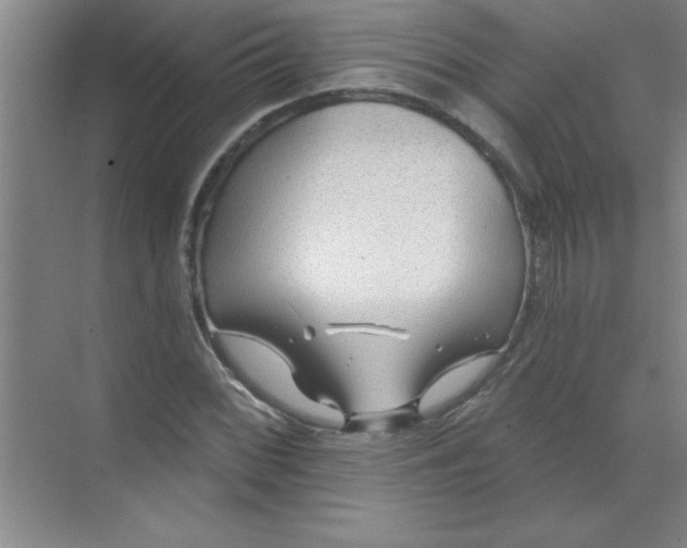 X0000071391068200607071902