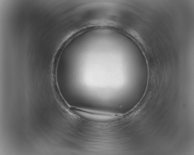 X0000071391071200607071902