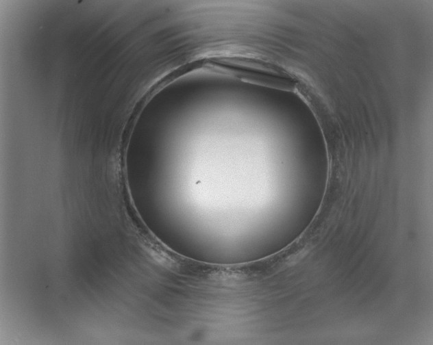 X0000071391073200607071902