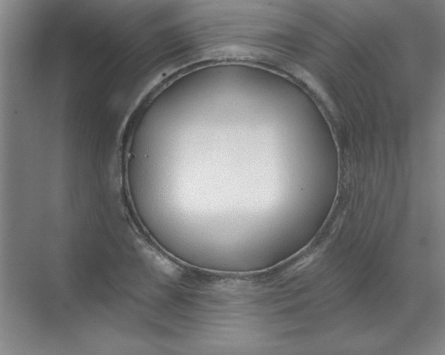 X0000071391075200607071902