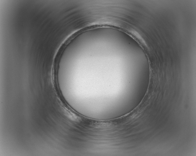 X0000071391076200607071902