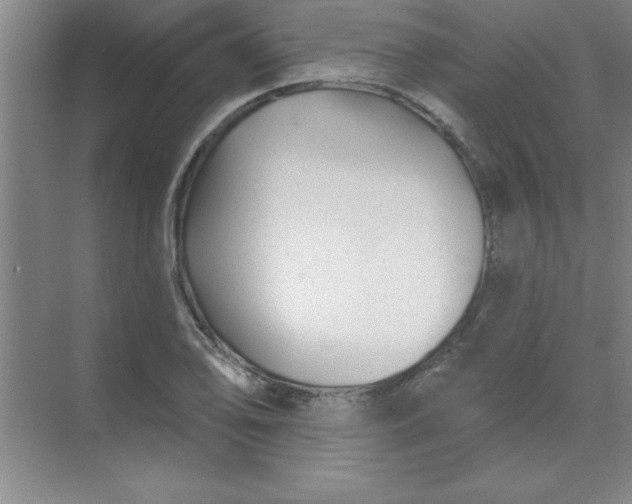 X0000071391078200607071902