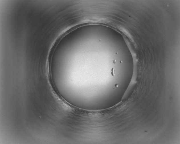 X0000071391080200607071902