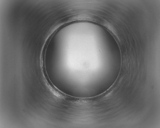 X0000071391082200607071902