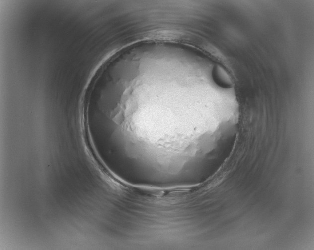 X0000071391083200607071902