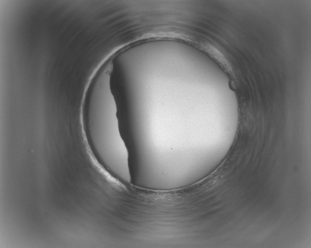 X0000071391084200607071902