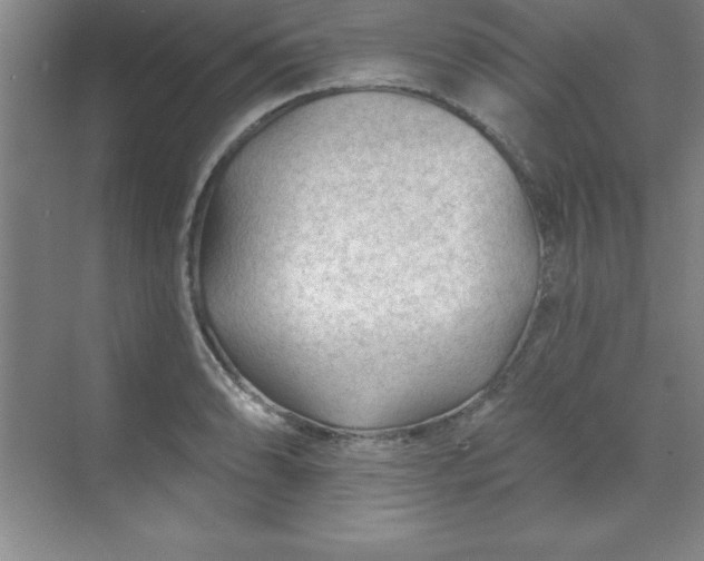 X0000071391086200607071902