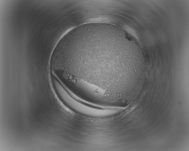 X0000071391087200607071902