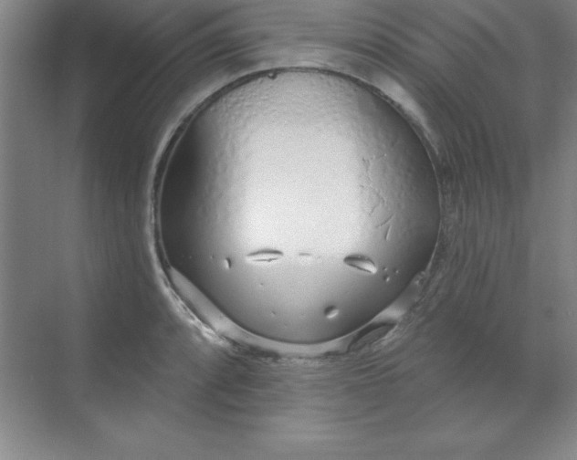 X0000071391088200607071902