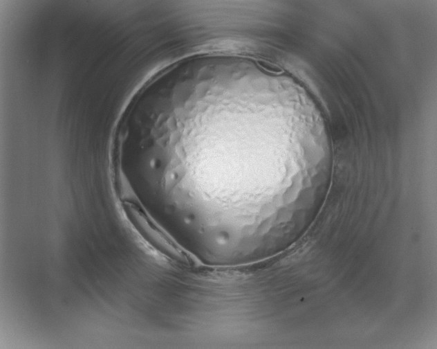 X0000071391091200607071902