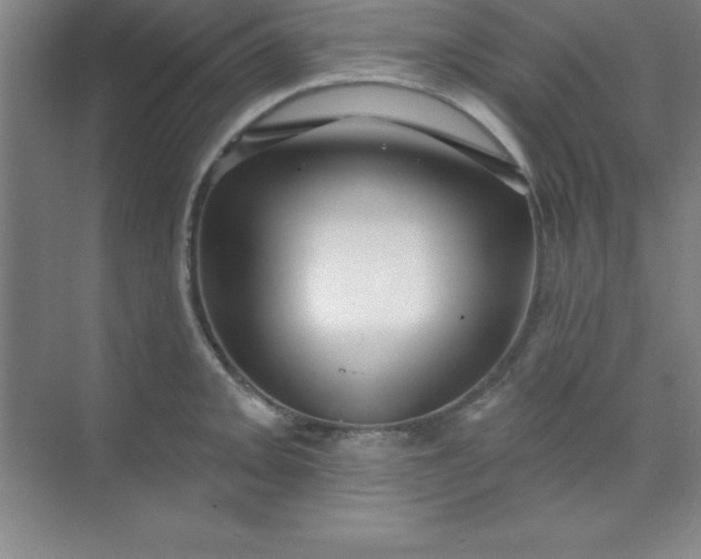 X0000071391093200607071902