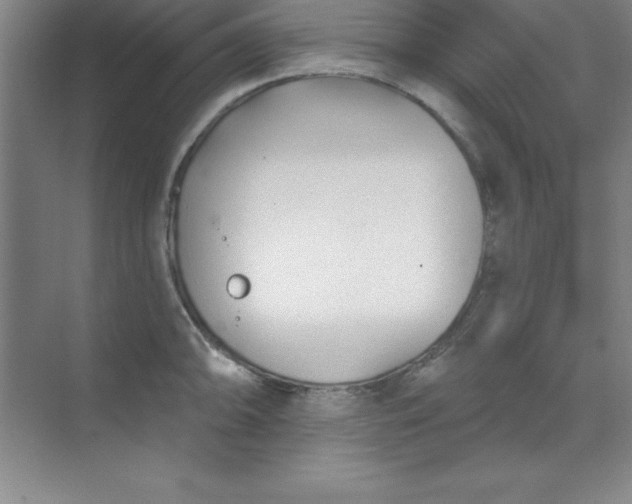 X0000071391094200607071902