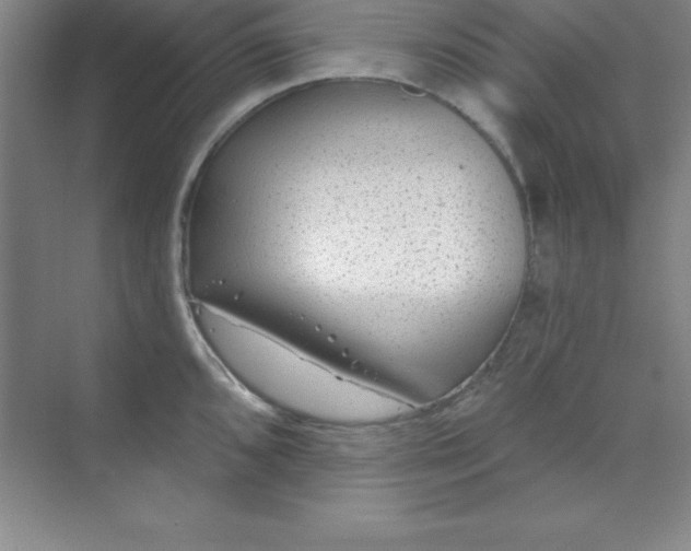 X0000071391096200607071902