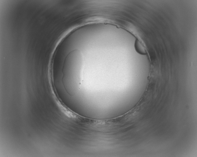 X0000071391098200607071902