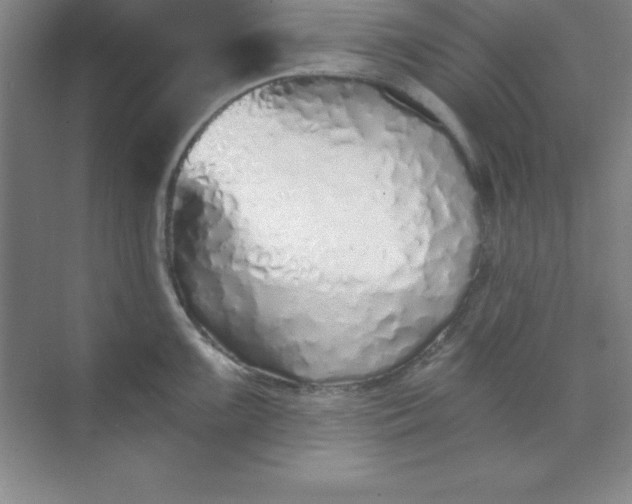 X0000071391099200607071901