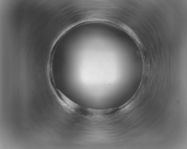 X0000071391101200607071901